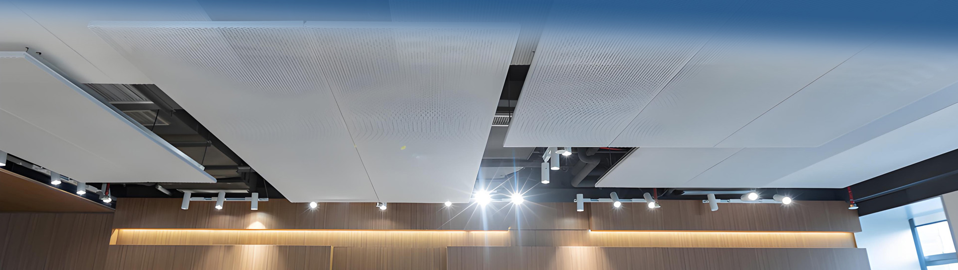 Ailisheng metal grid system