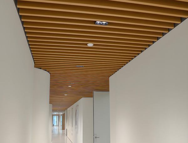 艾利声金属吸音垂片